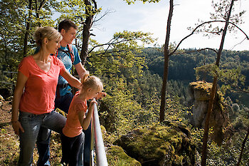 Franken Frauenschuhblüte
